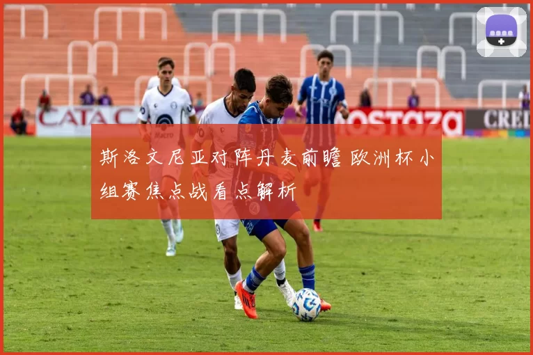 斯洛文尼亚对阵丹麦前瞻 欧洲杯小组赛焦点战看点解析